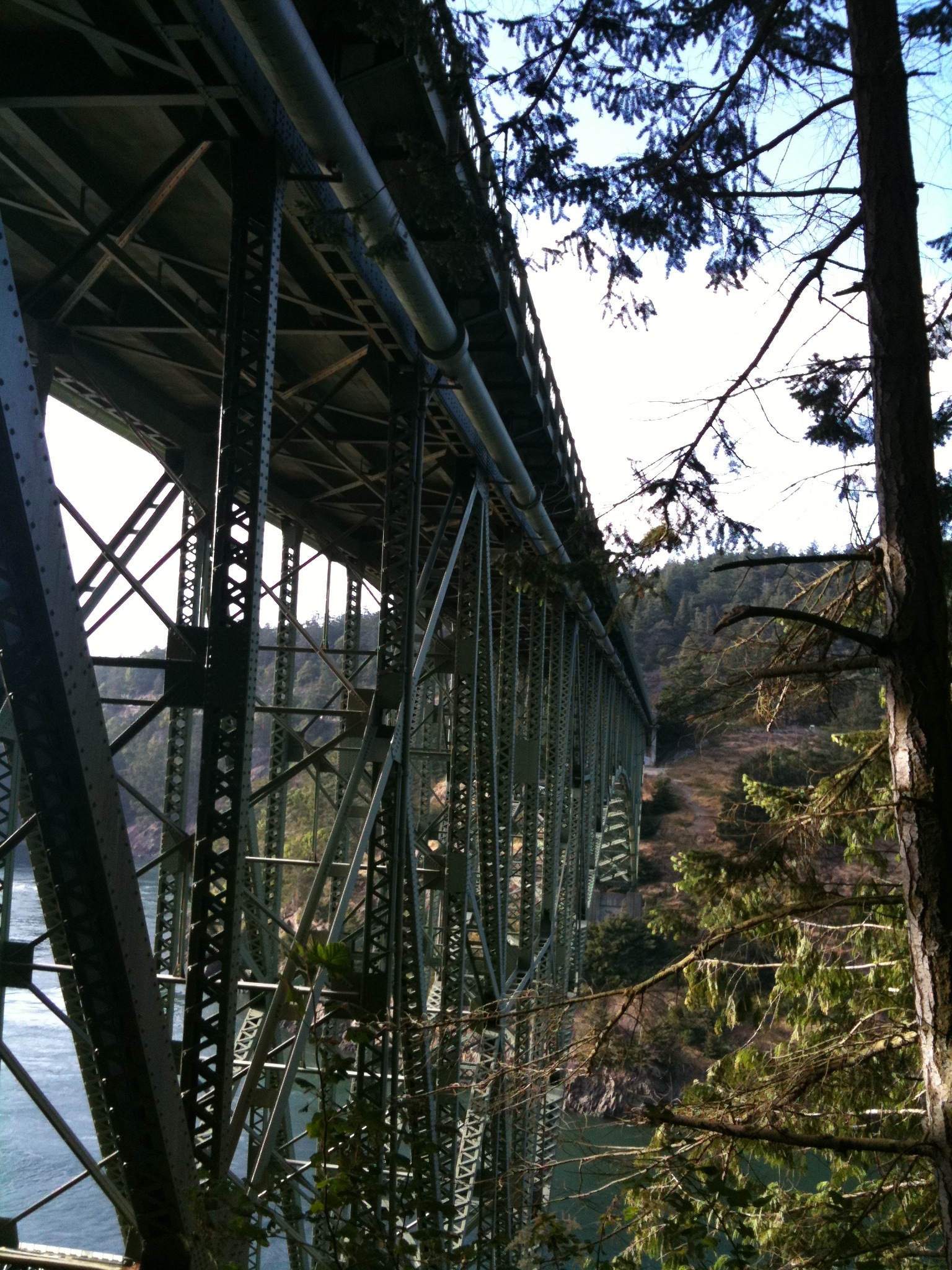 c0003499_4c3e9a4b95b49.jpg